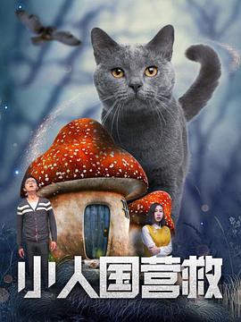 尻尻视频